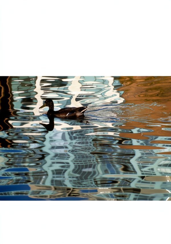 Color Photography Guide by Miriam Hall Kindle eBook 284 Pages-0